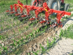 Cultivator Cultivator